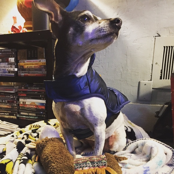 Meet your Posher, Cameron - Picture 2 of 2